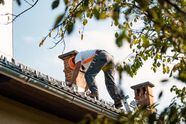 Best Best Roofing Contractors  in Linda, CA