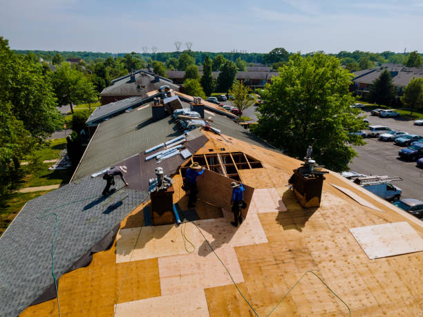 Best Storm Damage Roof Repair  in Linda, CA