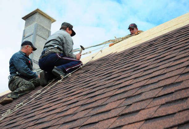 Best Tile Roofing Contractor  in Linda, CA